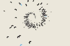 0041de_8fbdc7b61e974bb98430b4d7c529eaea_mv2