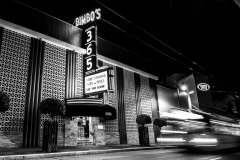 The Venue